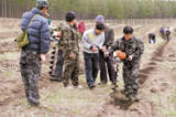 塞罕坝机械林场职工在进行春季造林