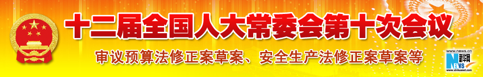 十二届全国人大常委会第十次会议