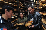 黑龙江林口：农技扶贫 让山村百姓走上食用菌栽培致富之路