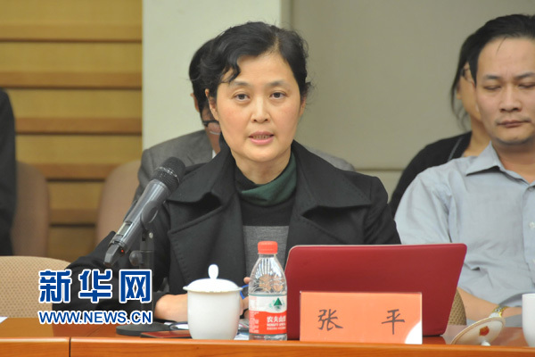 张平：互联网法治坚持促进企业发展原则