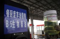 公交车&ldquo;喝&rdquo;上&ldquo;地沟油&rdquo;燃料