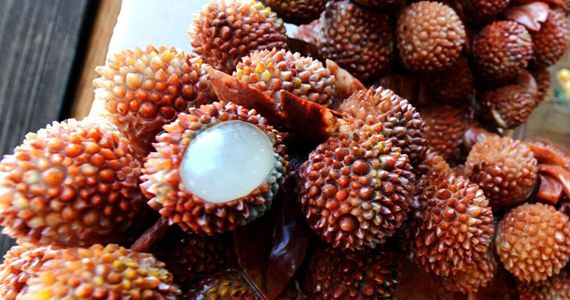 福州现&ldquo;石头荔枝&rdquo; 真假难辨引围观