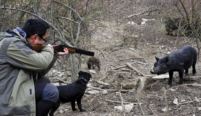 四川：合法狩猎场超万亩 10万年费配60发子弹