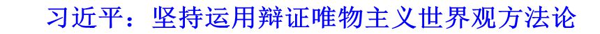 习近平：坚持运用辩证唯物主义世界观方法论