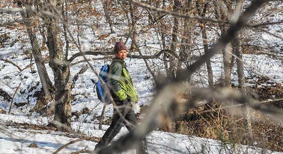 出人、出钱、出力：农民&ldquo;刘发疯&rdquo;的保护东北虎之路