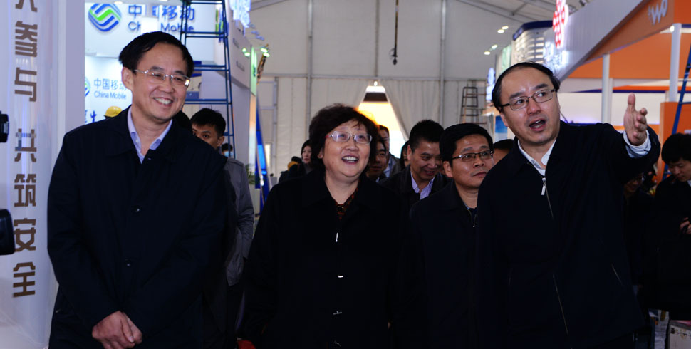 王秀军部长视察体验展工地