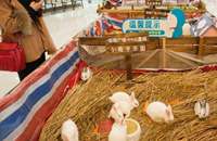 广西多家商场在大厅圈养动物招揽顾客