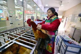上海春节期间开始暂停活禽交易