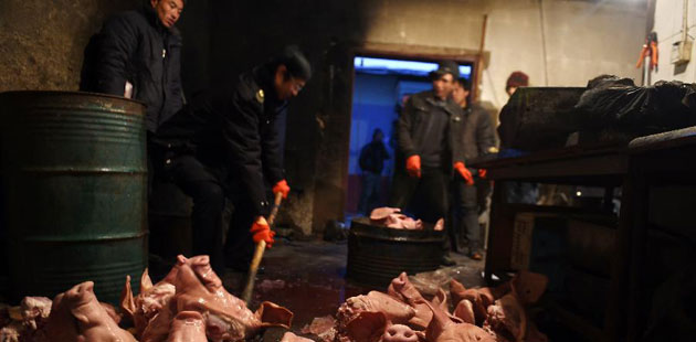 甘肃捣毁15家集中非法制售肉制品黑窝点