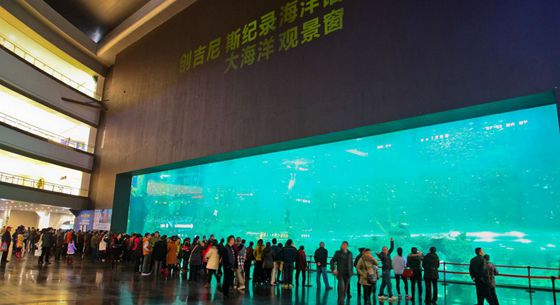 全球最大海洋观景窗落户成都