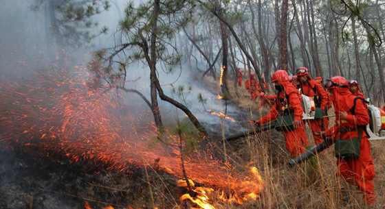 云南丽江石鼓镇发生森林火灾 300多人全力扑救