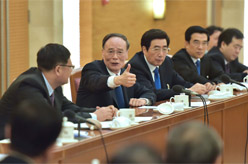 王岐山参加北京代表团审议