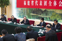 王岐山参加福建代表团审议