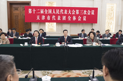 张高丽参加天津代表团审议