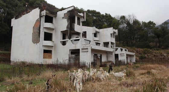 庐山豪华别墅烂尾20余年 草木丛生成羊圈