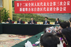 张高丽参加新疆代表团审议