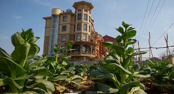 史上最壕农居房：游泳池+观光电梯