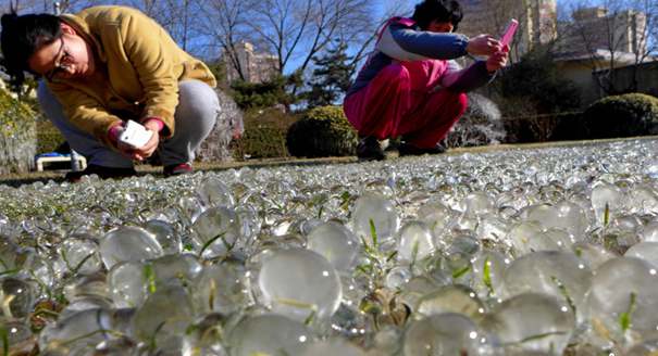 北京石景山一公园现罕见“冰世界”景观