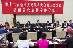 张高丽参加云南代表团审议