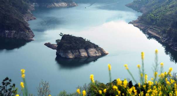 三峡水位消落 呈现“春龟出水”