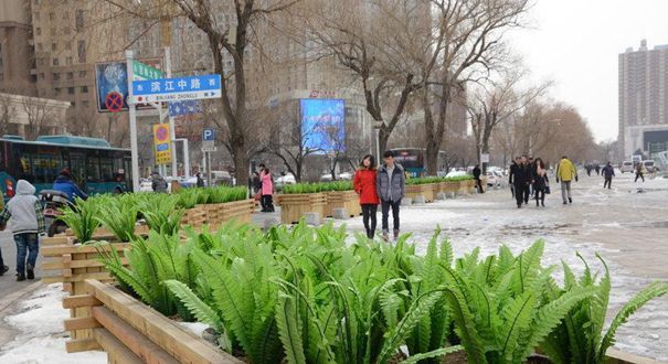 吉林街头安插&ldquo;油麦菜&rdquo;假花搞绿化