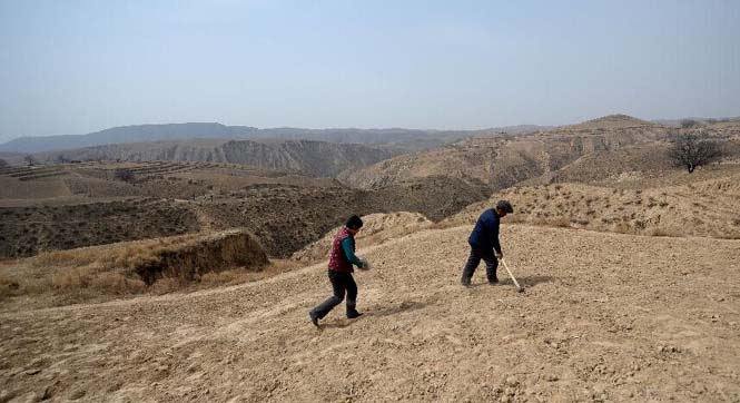 两个人的村庄：500多亩地随意耕种