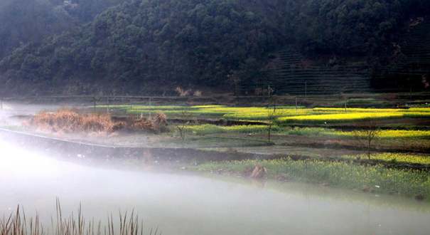 安徽黄山新安江现平流雾奇观