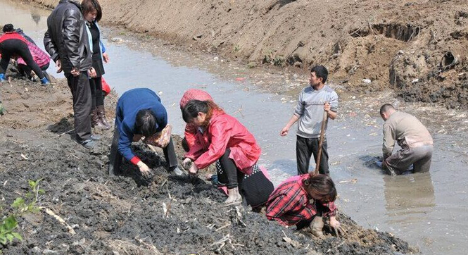 江苏盐城一工地挖出大量古钱币 村民&ldquo;淘宝&rdquo;