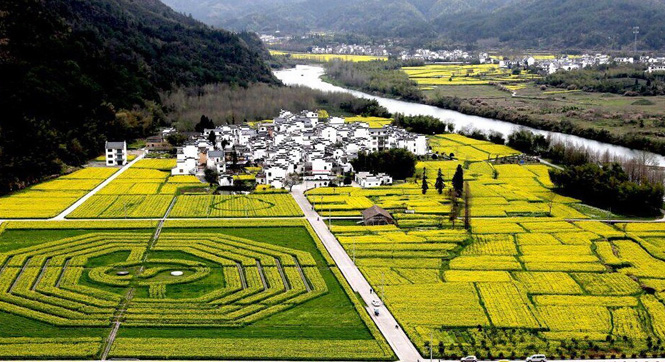 安徽黄山现巨型&ldquo;太极八卦图&rdquo;