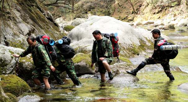 陕西历时3年实施第四次大熊猫调查
