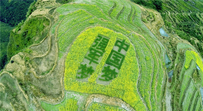 浙江丽水现&ldquo;中国梦&rdquo;创意油菜花