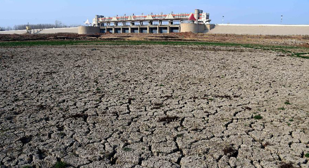 山东旱情持续 274座水库干涸157条河道断流