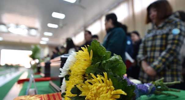 安徽合肥举办大型免费低碳环保&ldquo;集体共祭&rdquo;