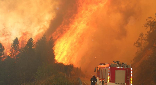福建周宁发生山火