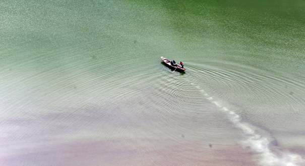 长江支流恩施段遭甲藻侵袭水面染色