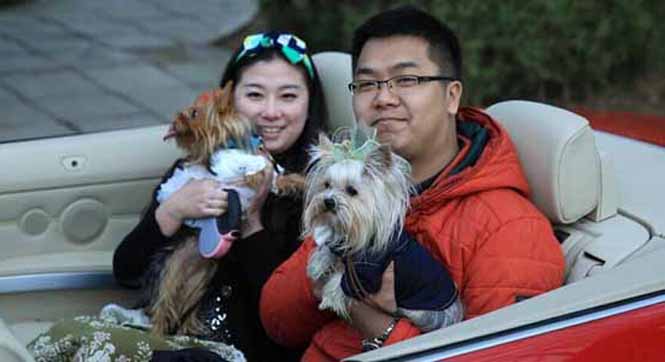 北京举行宠物集体婚礼 奥运冠军颁结婚证书