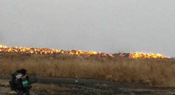 大庆市林甸县育苇场发生火灾