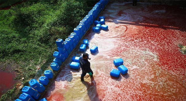 深圳一企业排污 致周边&ldquo;血流成河&rdquo;