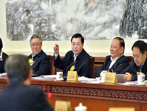 张德江参加全国人大常委会第十四次会议分组审议