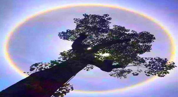 湖北恩施现日晕奇观 市民纷纷&ldquo;晒&rdquo;太阳