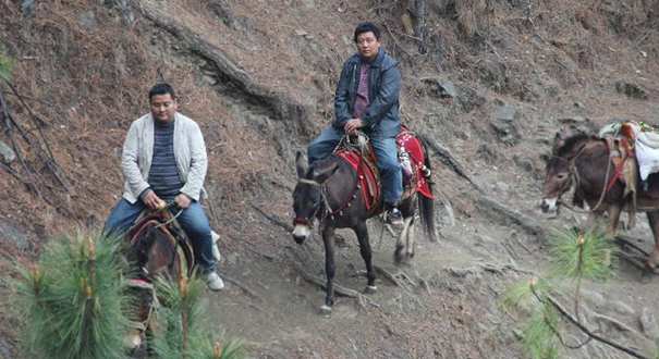 王偏初：深山里的&ldquo;掌灯人&rdquo;