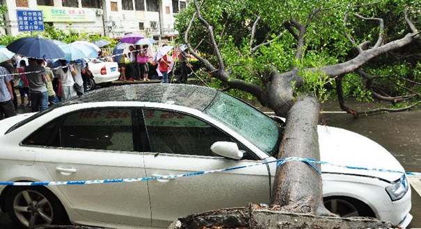 全国多地遭暴雨袭击