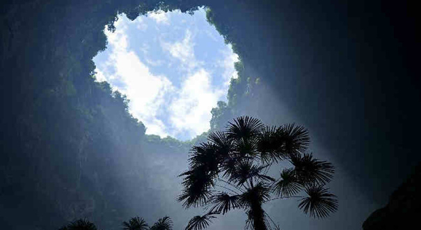 天坑里的&ldquo;动植物王国&rdquo;