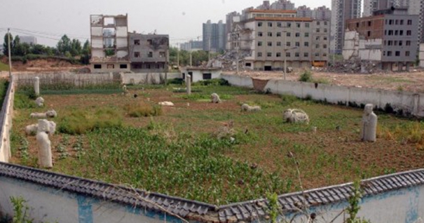 西安：明秦王陵园变菜园