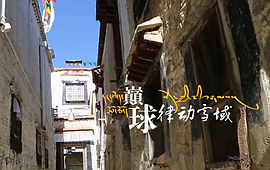 巅球―律动雪域