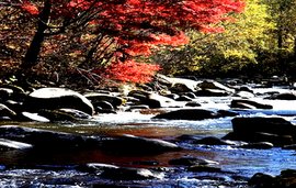 神奇凤凰山 山光水色奇异多姿