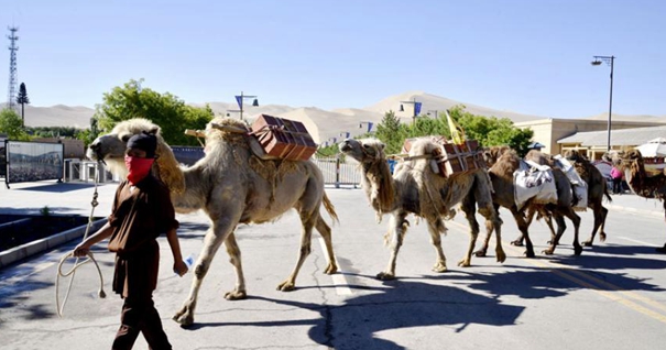 大型仿古驼队重走丝绸之路 穿越古郡敦煌