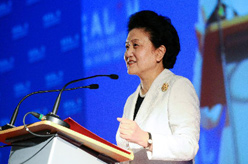 首届中国－中东欧国家卫生部长论坛在捷克举行