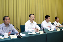 杜青林出席中国经济社会理事会四届二次会议