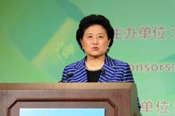 刘延东出席2015年中美青年创客大赛启动仪式并致辞